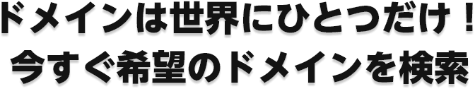 ドメインは世界にひとつだけ！ 今すぐ希望のドメインを検索